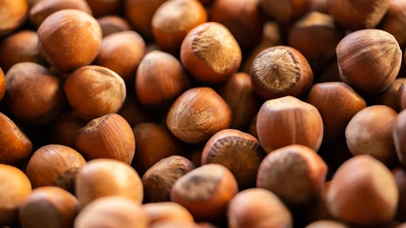 Biojoy BIO-Haselnüsse kaufen – naturbelassen und bio-zertifiziert